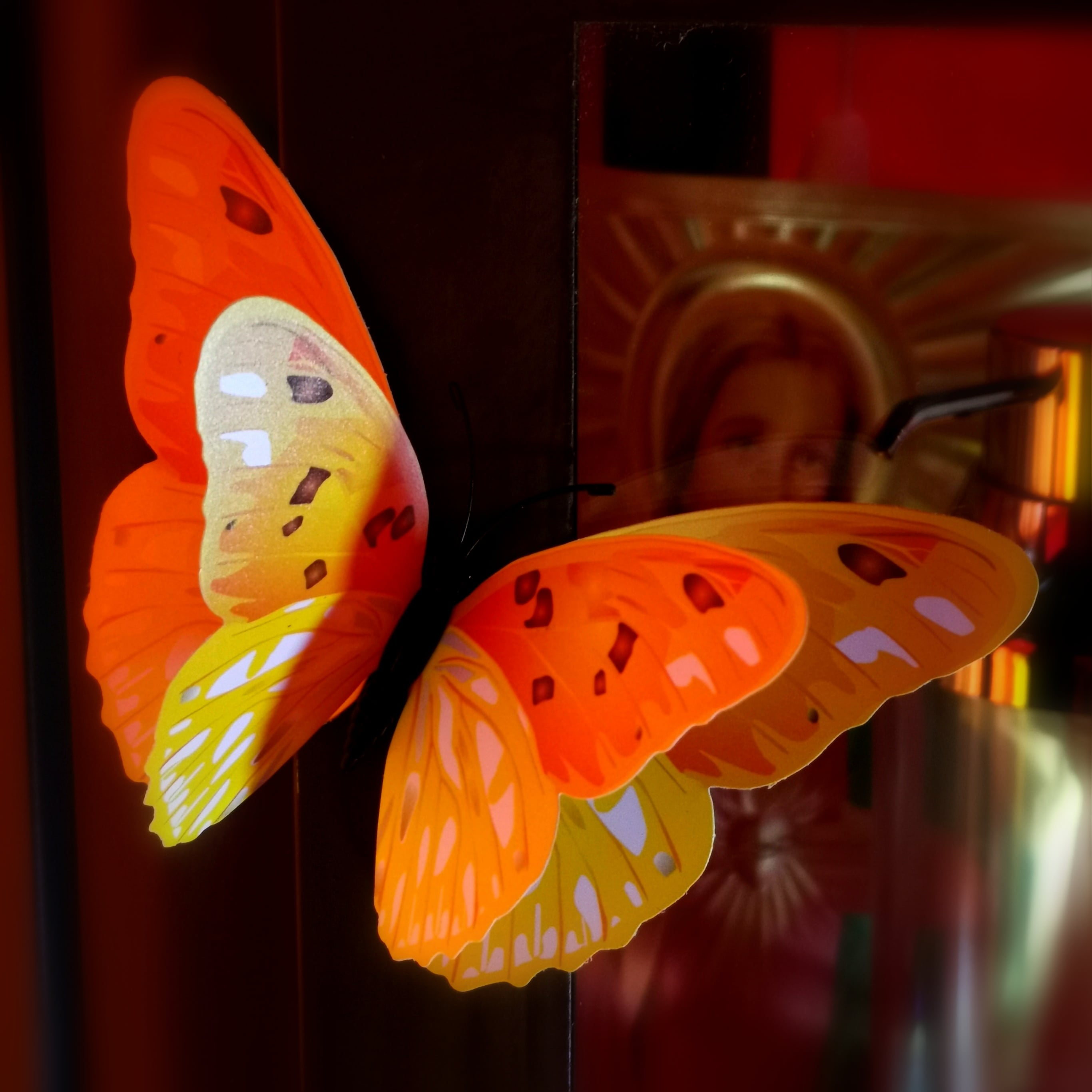 Schmetterlinge im Reiki Pavillon
